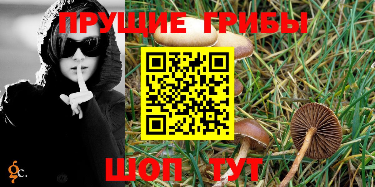Галлюциногенные грибы Psilocybe  Галлюциногенные грибы мухоморы  Вход с VPN  Десногорск 